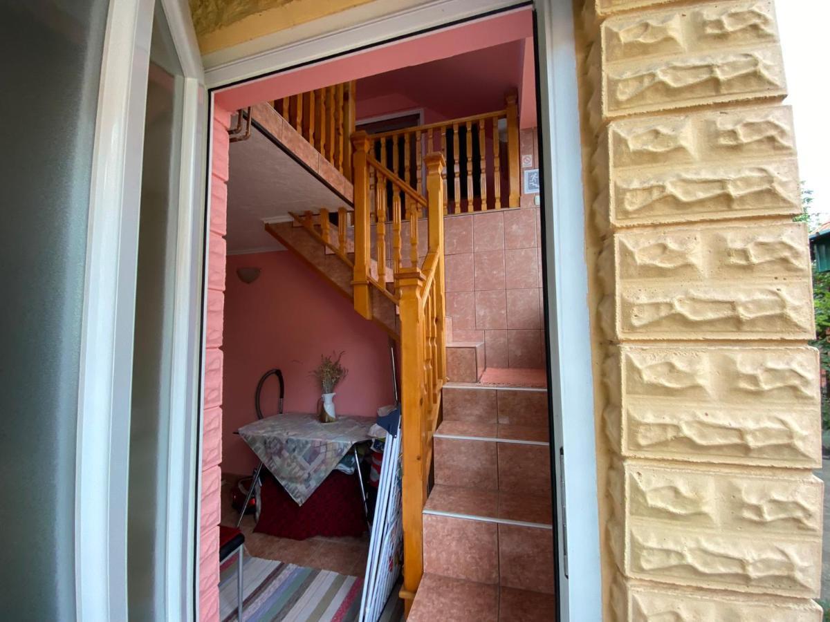 SUD ,,Antal i Olga,, Bed and Breakfast Skorenovac Exteriör bild
