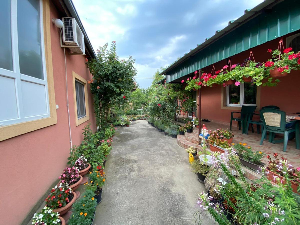 SUD ,,Antal i Olga,, Bed and Breakfast Skorenovac Exteriör bild