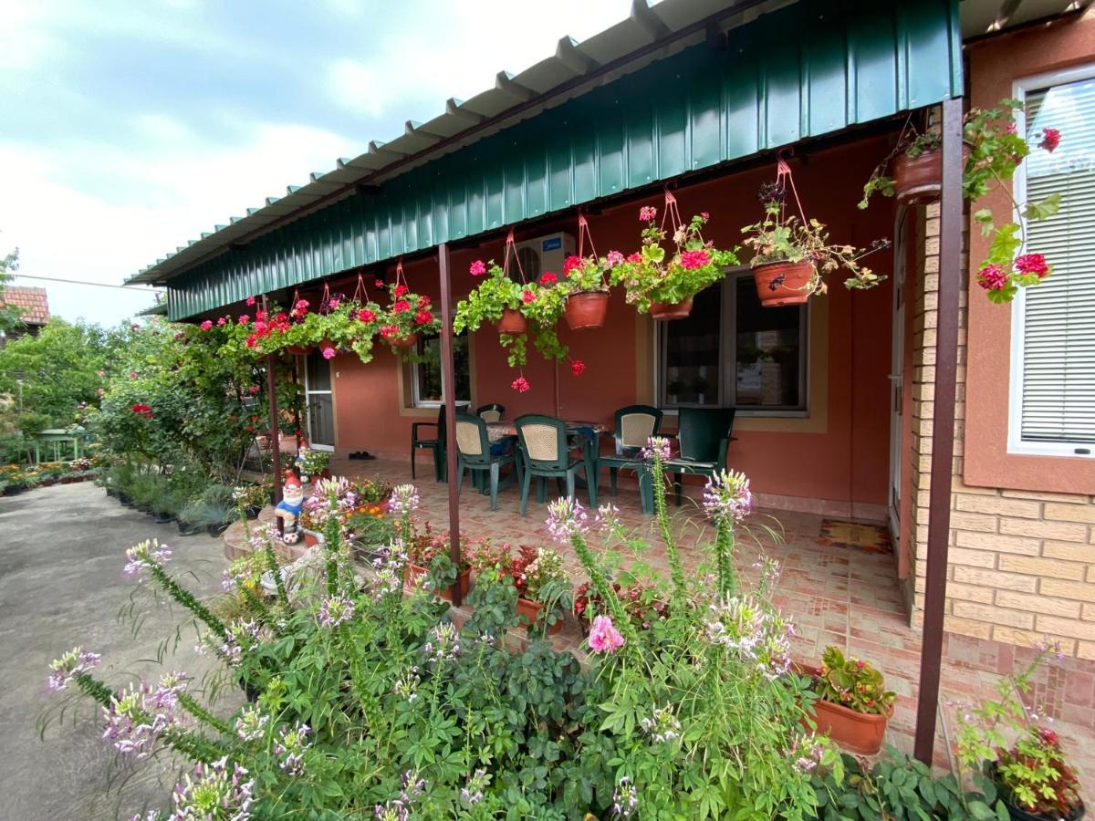 SUD ,,Antal i Olga,, Bed and Breakfast Skorenovac Exteriör bild