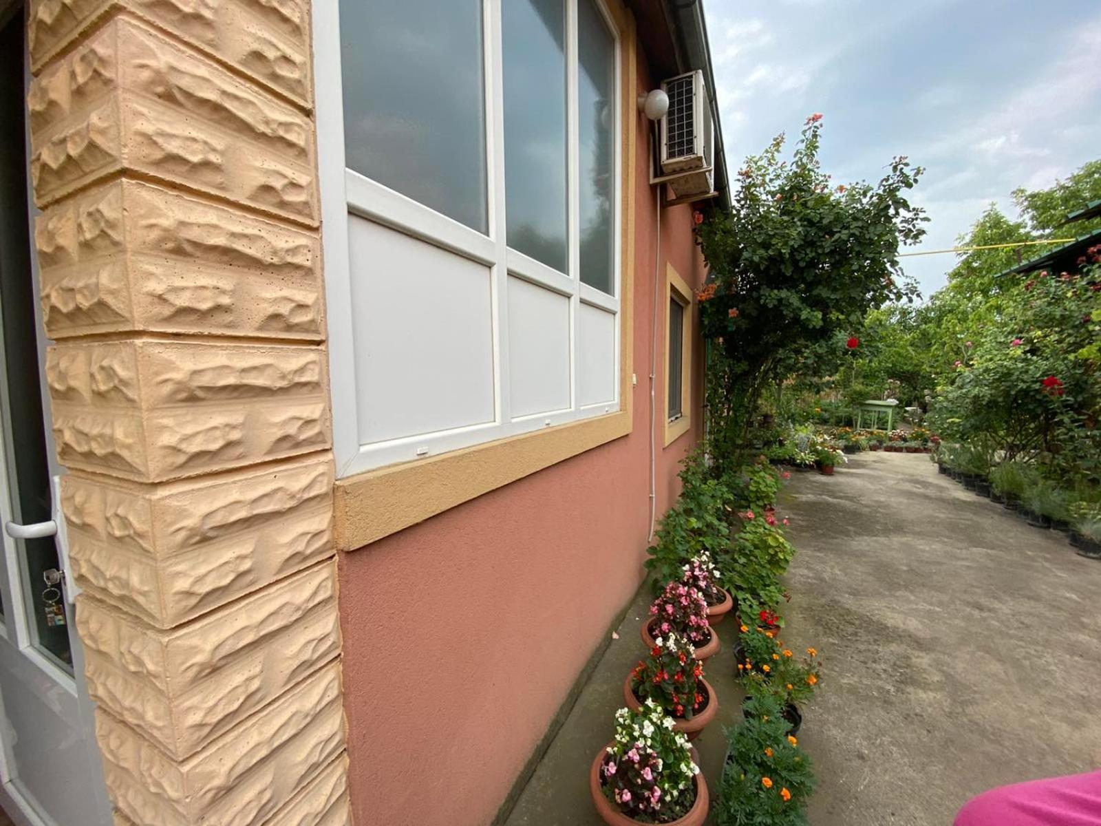 SUD ,,Antal i Olga,, Bed and Breakfast Skorenovac Rum bild